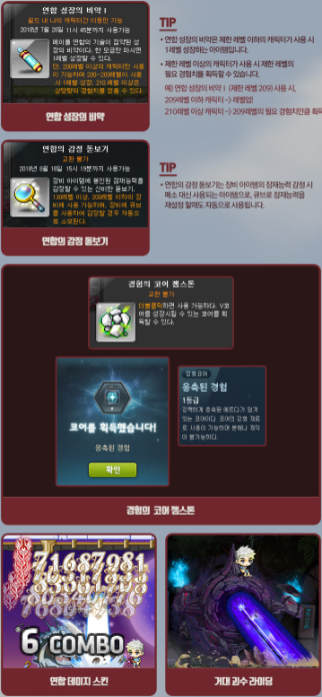 Guardian Special Items